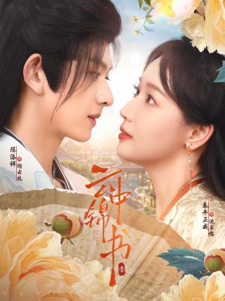 短剧云中锦书海报