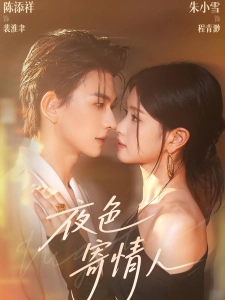 短剧夜色寄情人海报