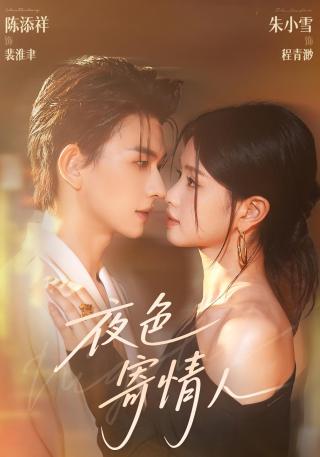 短剧夜色寄情人海报