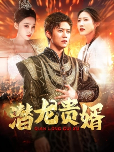 短剧潜龙贵婿海报