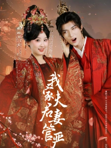 短剧我家夫君妻管严海报