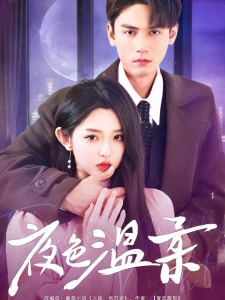 短剧夜色温柔海报