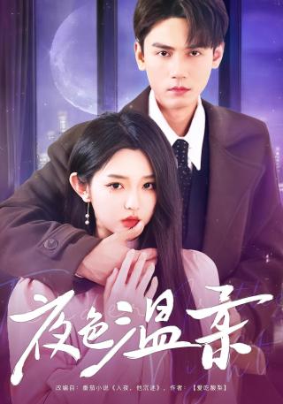 短剧夜色温柔海报