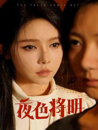 短剧夜色将明海报