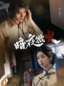 短剧暗夜微火海报