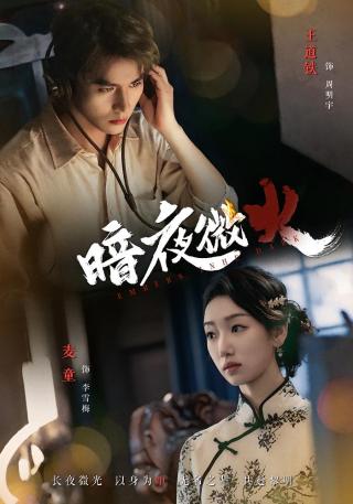 短剧暗夜微火海报