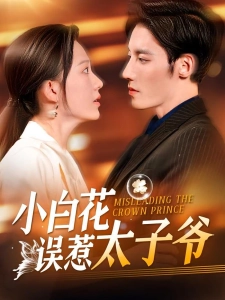 短剧小白花误惹太子爷海报