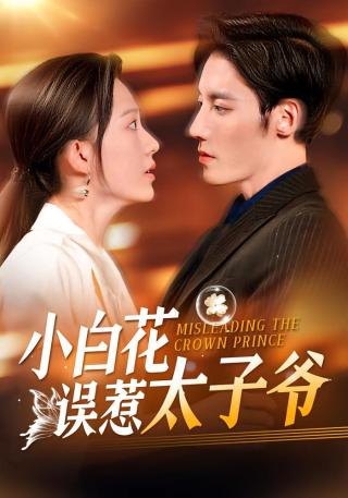 短剧小白花误惹太子爷海报