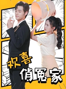 短剧欢喜俏冤家海报