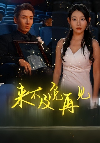 短剧来不及说再见海报