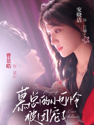 短剧慕总的小可怜被团宠了海报