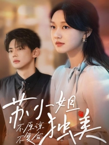 短剧不原谅不复合苏小姐独美海报