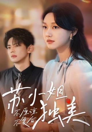 短剧不原谅不复合苏小姐独美海报