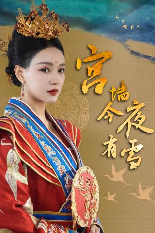 短剧宫墙今夜有雪海报