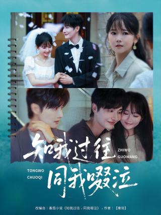 短剧知我过往同我啜泣海报