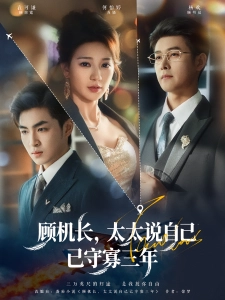 短剧顾机长，太太说自己已守寡三年海报