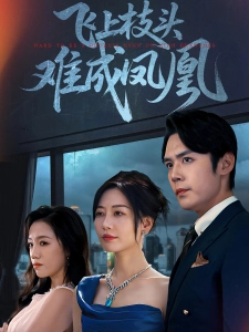 短剧飞上枝头难成凤凰海报