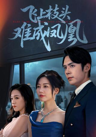 短剧飞上枝头难成凤凰海报