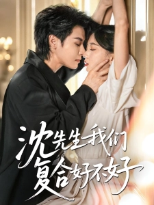 短剧沈先生我们复合好不好海报