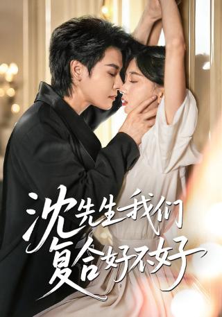短剧沈先生我们复合好不好海报