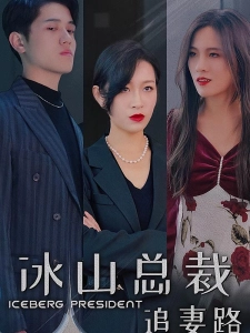 短剧冰山总裁追妻路海报