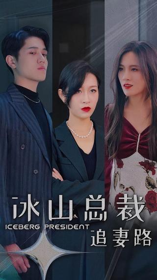 短剧冰山总裁追妻路海报