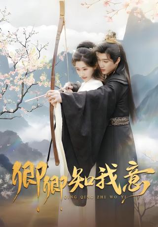 短剧卿卿知我意海报