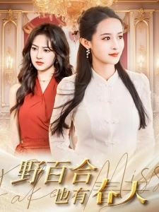 短剧野百合也有春天海报