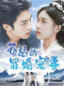 短剧苏总的罪婚宠妻海报