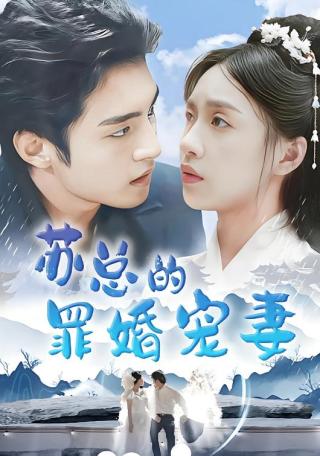 短剧苏总的罪婚宠妻海报