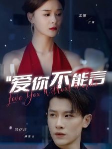 短剧爱你不能言海报