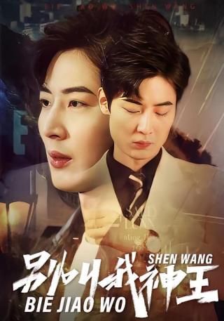 短剧别叫我神王海报