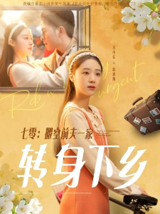 短剧七零：搬空前夫一家转身下乡海报