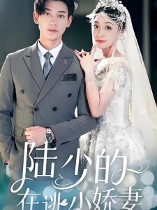 短剧陆少的在逃小娇妻海报