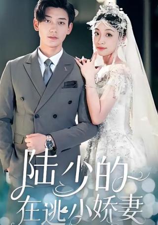 短剧陆少的在逃小娇妻海报