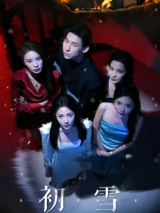 短剧初雪海报