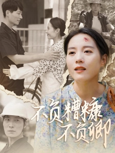 短剧不负糟糠不负卿海报