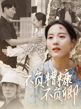 短剧不负糟糠不负卿海报