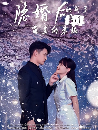 短剧隐婚后，她成了豪门萌宝的亲妈海报