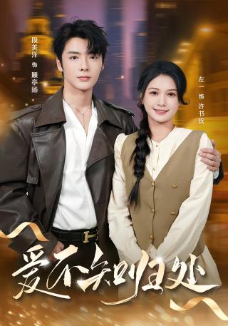 短剧爱不知归处海报