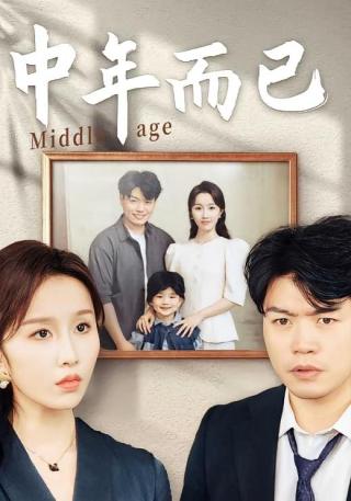 短剧中年而已海报