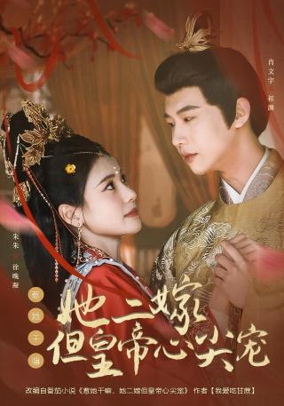 短剧惹她干嘛，她二嫁但皇帝心尖宠海报
