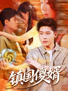 短剧镇国傻婿海报