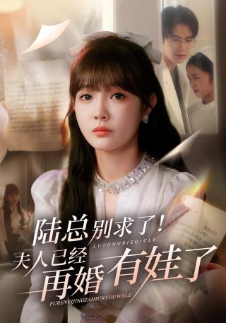 短剧陆总别求了！夫人已经再婚有娃了海报