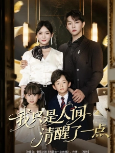 短剧我只是人间清醒了一点海报