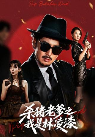 短剧杀猪老爹之我是林凌漆海报