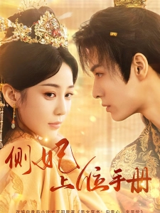 短剧侧妃上位手册海报