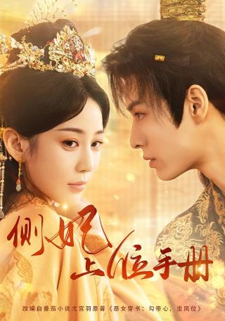 短剧侧妃上位手册海报