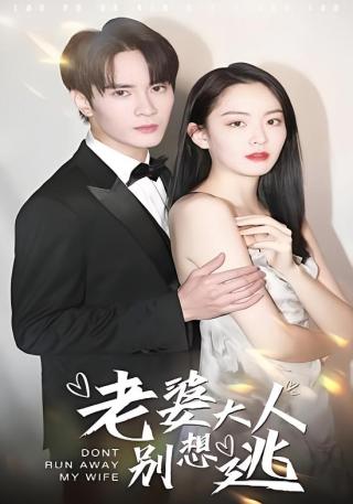 短剧老婆大人别想逃海报