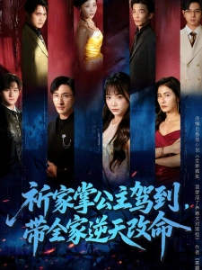 短剧祈家掌公主驾到，带全家逆天改命海报